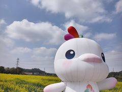 -长洲岛
