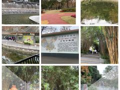 -成都动物园