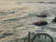 -Vanillacafe香草咖啡(银海大世界店)