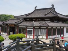 -紫竹林