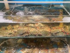 -正亮农家院·海鲜本地菜