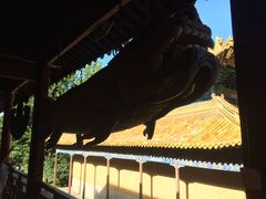 -普陀山风景名胜区-法雨禅寺