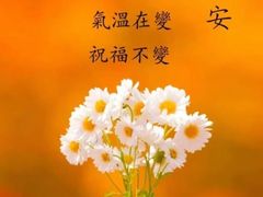 -南湖镇长途巴士站(TBS)