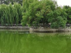 -黄村公园