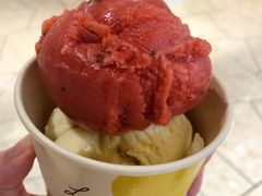 香草冰淇淋-LUNEURS月乐诗 冰淇淋咖啡(环贸店)