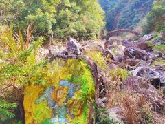 -龙湾潭国家森林公园
