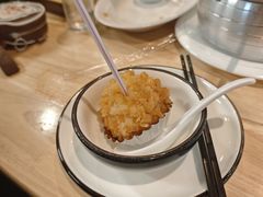 -丁老爷子苏香圆