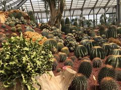 -南通洲际绿博园