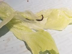 -義聚德·清真铜锅涮羊肉·烧烤(河东店)