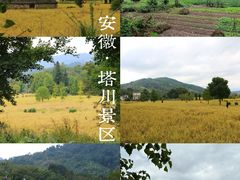 -塔川景区