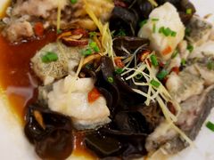 -麒麟山景大酒店岭南汇海鲜酒家(沙井店)