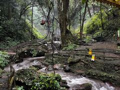 -莫里热带雨林景区