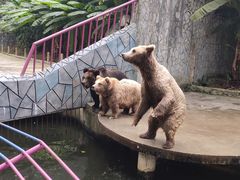 -贵州森林野生动物园