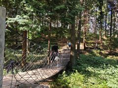 -四明山国家森林公园