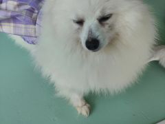 -怪兽屋·羊驼·猫咖·狗咖(俊华广场店)