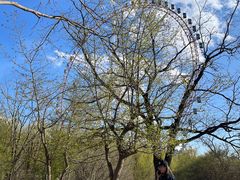 -哈尔滨文化公园