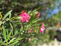 -东坡赤壁风景名胜区