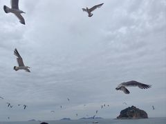 -棒棰岛宾馆景区