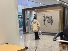 -麦当劳(北京大兴机场二层国内到达(安检外)店)