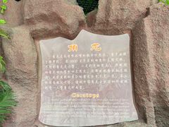 -诸城市恐龙博物馆