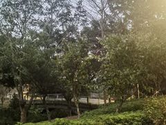 -聚龙山公园