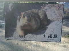 -哈尔滨北方森林动物园