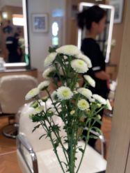 -汤尼英盖TONI&GUY-essensuals