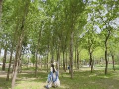 -东郊湿地公园
