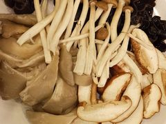 -羊守一(九棵树店)