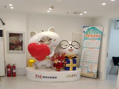 -喜多萌中农锦绣动物医院24H·猫科·牙科MRI·CT