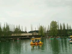 -秀丽东方