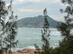 -广东惠东海龟国家级自然保护区