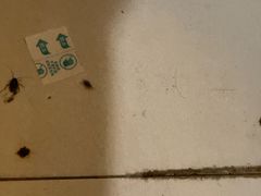 -华中科技大学同济医学院附属同济医院(汉口院区)