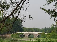 -大兴滨河森林公园