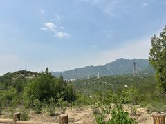 -白水寺森林公园