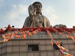 -龙口南山旅游景区