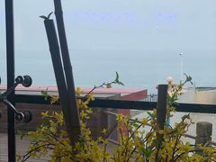 -蟹之国·精品蟹料理(极地店)