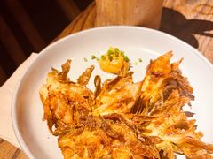 炸霸王花-毛辣果·酸(OHA复兴西路店)