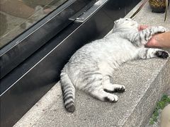 -衣裳街历史文化街区