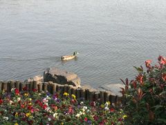 外景-上海怡沁园度假酒店