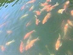 -卧龙堡客栈·中餐厅(古北水镇店)