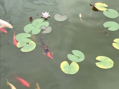 -梅园