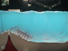 -同济大学四平路校区深海探索馆