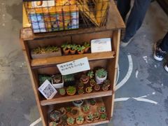-南山杂货铺(昙华林路店)