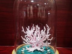 -青岛贝壳博物馆