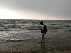 -贝壳沙滩