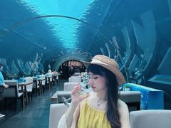 -涛·海底餐厅·美人鱼·自助餐·海底隧道(三亚海棠湾洲际度假酒店)