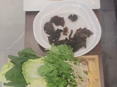 -蝎王府羊蝎子(天通苑店)