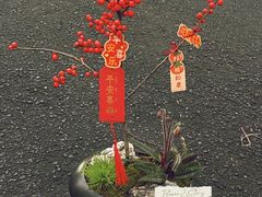 -F.Story 花和故事(新天地店)