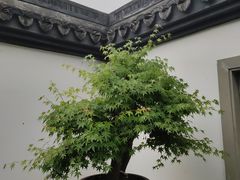 -杭州植物园
